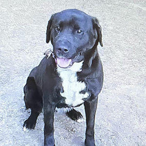 Meet your Posher, Katelynn